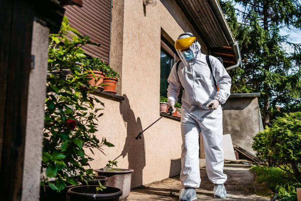 Best Flea Control Services  in Elk River, MN
