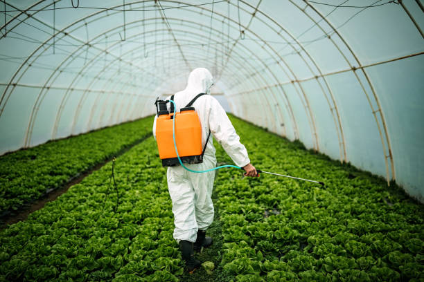 Best Best Pest Control Companies  in Elk River, MN