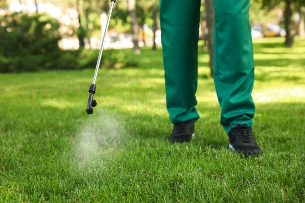 Best Affordable Pest Control Services  in Elk River, MN