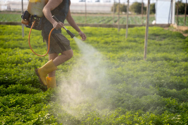 Best Local Pest Control Services  in Elk River, MN