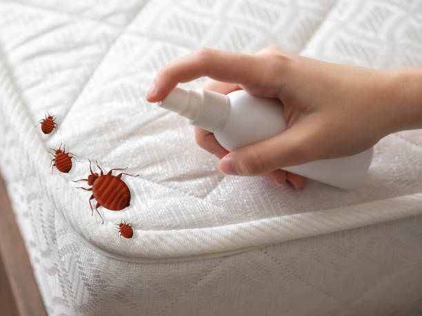 Best Mosquito Control Services  in Elk River, MN
