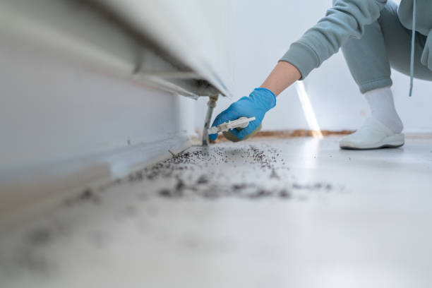 Trusted Elk River, MN Pest Control Experts