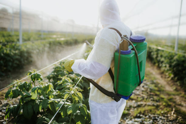 Best Termite Control Services  in Elk River, MN